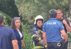Yangın çıkan dairede mahsur kalan kediyi, itfaiyeci Melisa kurtardı