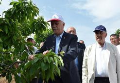 TZOB Genel Başkanı Bayraktar: Tarihin en büyük tarımsal afetini yaşıyoruz