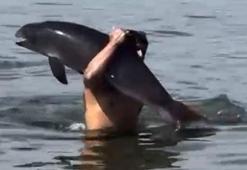 Yüzerken karşılaştığı ölü yunusu omzuna alıp, kıyıya bıraktı; o anlar kamerada