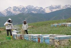 Adanalı çiftin 27 yıldır Yüksekova’ya ‘arı’ yolculuğu