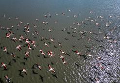 Misafirleri gecikmeli gelen Ulaş Gölü şenlendi