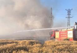 Mardin'de 155 dönüm ekili buğday yandı