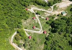 Küre Dağları Milli Parkı'nda bahar güzelliği