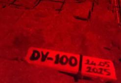 İztuzu Plajı'nda caretta yuva sayısı 100'e ulaştı