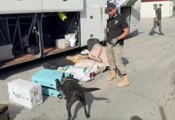 Erzincan merkezli 3 ilde uyuşturucu operasyonu: 20 kilo uyuşturucu ele geçirildi