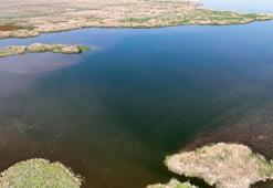 Su seviyesi düşen Eber Gölü'nde kaçak kullanım yılda 22 milyon ton