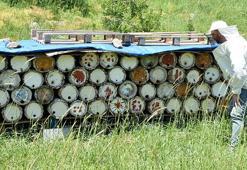 Bitlis balı Paris’te 'Altın Bal' ödülü aldı