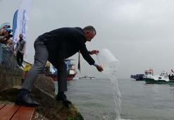 İzmit Körfezi’ne 6 bin balık ile 100 yapay resif bırakıldı