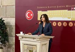 DEM Parti'li Koçyiğit: 10'uncu Yargı Paketi mutlaka bayramdan önce Meclis'ten geçmeli