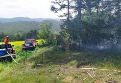 Yıldırım düşen ormanda çıkan yangın söndürüldü