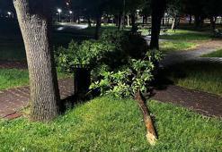 Kayseri'de sağanak; binanın çatısına yıldırım düştü, araçlar zarar gördü