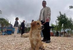 Emekli Hayvanlar Çiftliği'nde terk edilen canları günübirlik sahipleniyorlar