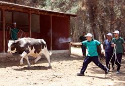 Gaziantep'te 'kurban yakalama timi' göreve hazır