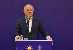 Efkan Ala: Silah bırakmanın bu yaz gerçekleşmesini öngörüyoruz