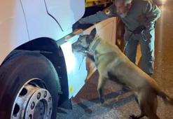 TIR'daki 5,5 kilo uyuşturucuyu 'Viva' buldu