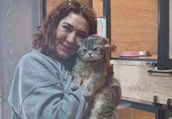 Veteriner hekim sokak hayvanlarını tedavisini yapıp sahiplendiriyor