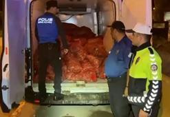 Kaçak midye taşıyan 2 kişiye toplam 88 bin lira ceza