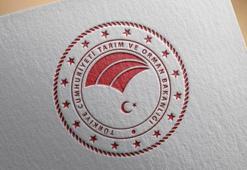 Taklit-tağşiş gıdalar listesine 42 yeni ürün eklendi