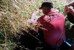 Kayıp kadın çalılıkların arasında yatarken bulundu