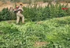 Diyarbakır'da uyuşturucu operasyonu;7 şüpheli yakalandı