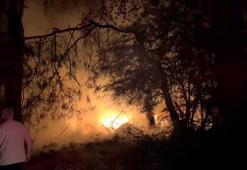 Ormanda ısınmak için yaktığı ateş ağaçlara sıçradı