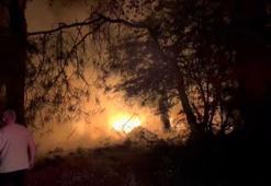 Ormanda ısınmak için yaktığı ateş ağaçlara sıçradı