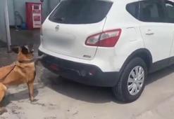 Stepne lastiklerde 5,5 kilo esrar ele geçirildi; 1 şüpheli tutuklandı