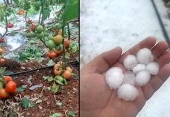 Antalya'da dolu tarım alanlarını vurdu, seralar ve ürünler zarar gördü