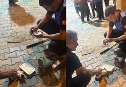 Reklam panosunda mahsur kalan yavru kediyi zabıta ekipleri kurtardı