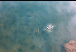 Kahramanmaraş Geben Vadisi, milli park statüsüne alındı