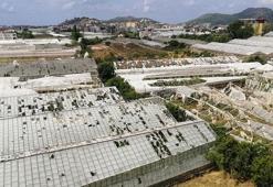 Antalya'da dolu ve hortumun vurduğu tarım alanlarında yaralar sarılmaya çalışılıyor