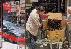 Arılar iş hanının girişine oğul verdi