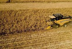 Çiftçilere 251 milyon TL destek ödemesi bugün yapılacak