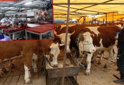 'Kurban eti'ni sebzeyle tüketim önerisi