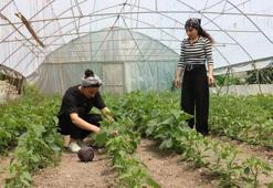 Yüksekovalı kuzenler Neslihan ile Zeynep, kurdukları serada sebze yetiştiriyor