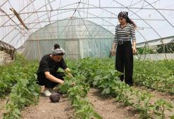 Yüksekovalı kuzenler Neslihan ile Zeynep, kurdukları serada sebze yetiştiriyor