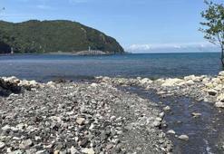 Amasra'da denizde kirlilik