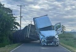 ABD'de kamyon devrilmesi sonucu 250 milyon arı serbest kaldı