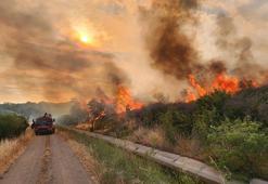 Çanakkale'deki otluk yangını 1 saatte söndürüldü