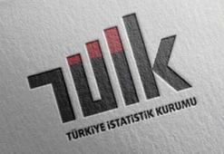TÜİK: Hanehalkı bütçesinden en fazla pay konut ve kira harcamalarına ayrıldı
