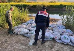 Van'da denetimlerde 22 ton 475 kilogram inci kefali ele geçirildi