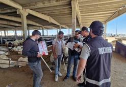 Diyarbakır'da, polisten kurban satıcılarına ‘sahte para’ uyarısı