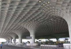 Yolcunun valizinden 48 zehirli yılan ve 5 kaplumbağa çıktı