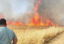 Manisa'da buğday tarlasında yangın