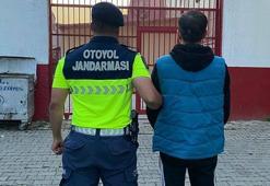 Terör örgütü üyesi, kaçak göçmenlerle birlikte yakalandı