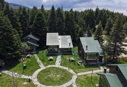 Yeşile bürünen ‘beyaz cennet’ yaza hazır; orman köşkleri ve barakalara ilgi yoğun