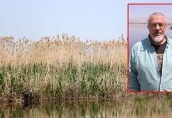Prof. Dr. Erişmiş: Sazlıklar yakılırsa çıkan metan gazı öldürürebilir