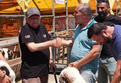 Kurban Bayramı'na 2 gün kala hayvan pazarlarında hareketlilik devam ediyor