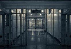 İnfaz düzenlemesi, Resmi Gazete'de yayımlandı