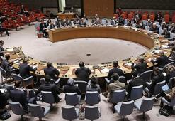 Ateşkes tasarısı ABD'nin tek oyuyla reddedildi
